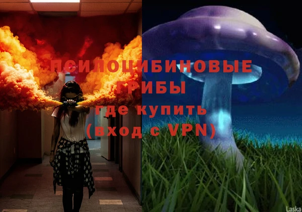 Альфа ПВП Мегион